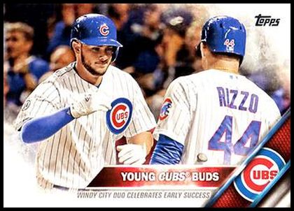 453 Young Cubs Buds CL